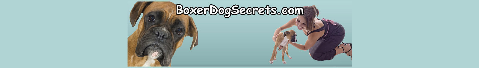 Boxer Dog Secrets